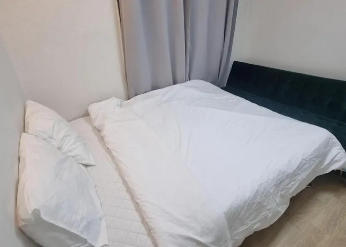 청양 서울특별시